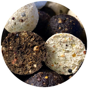 Starbaits boilies probiotic pro blackberry - 1 kg 14 mm