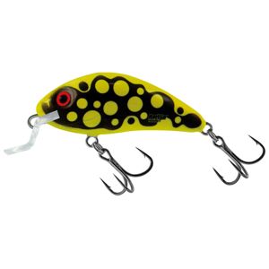 Salmo wobler rattlin’ hornet shallow holographic real dace - 3,5 cm - 5,5 g