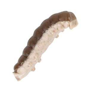 Berkley gumová nástraha powerbait power honey worm 2,5 cm 55 ks grey pearl