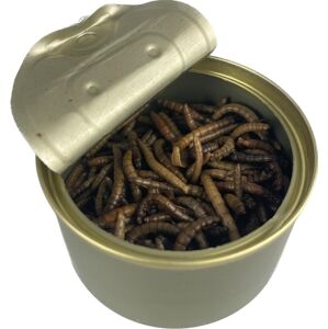 Carpway mealworm moučný červ 35 g