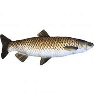 Gaby Plyšová Ryba Amur 75 cm