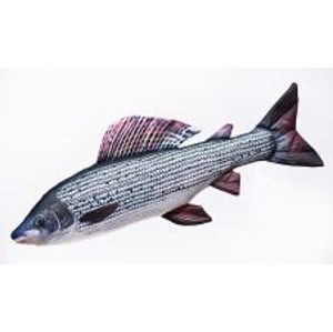 Gaby Plyšová Ryba Lipan 65 cm