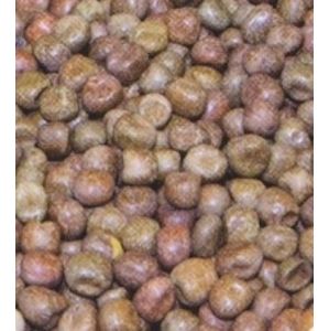 Mikbaits partikl javorové semínko 10 kg