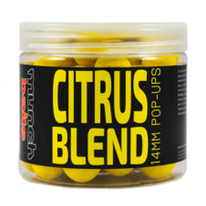 Munch Baits Pop-Ups Citrus Blend 200 ml-18 mm