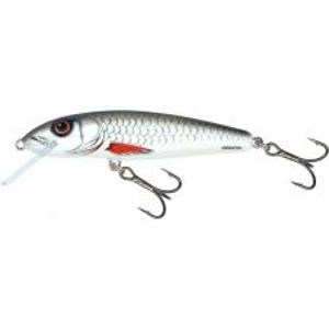 Salmo Wobler Minnow Floating Dace-6 cm 4 g