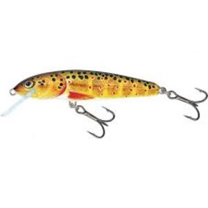 Salmo Wobler Minnow Floating Trout-6 cm 4 g